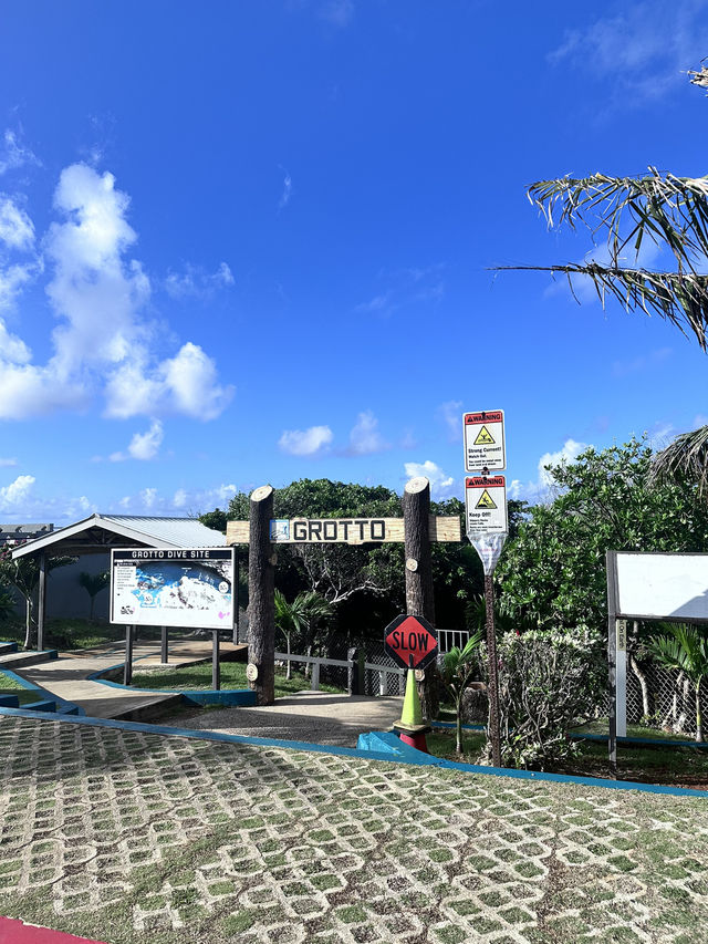 푸른 바다에서 거북이와 함께하는 힐링 여행 🏝️🐢, 사이판