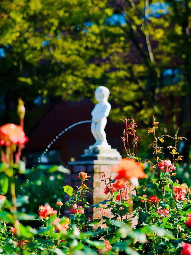 四季折々の花が楽しめる！🌼🌸🌷🌹