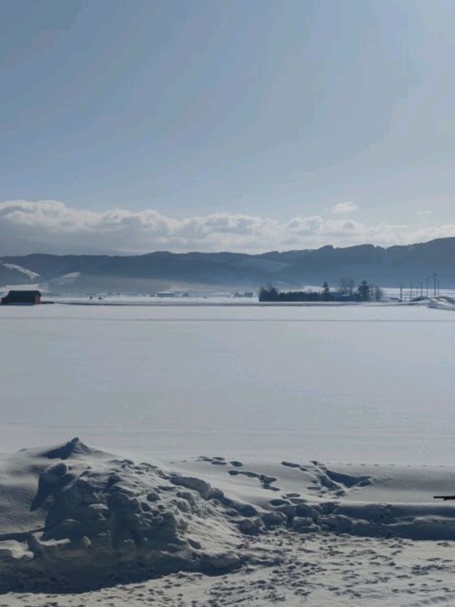 HOKKAIDO TRIP2025