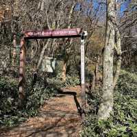Hallasan National Park