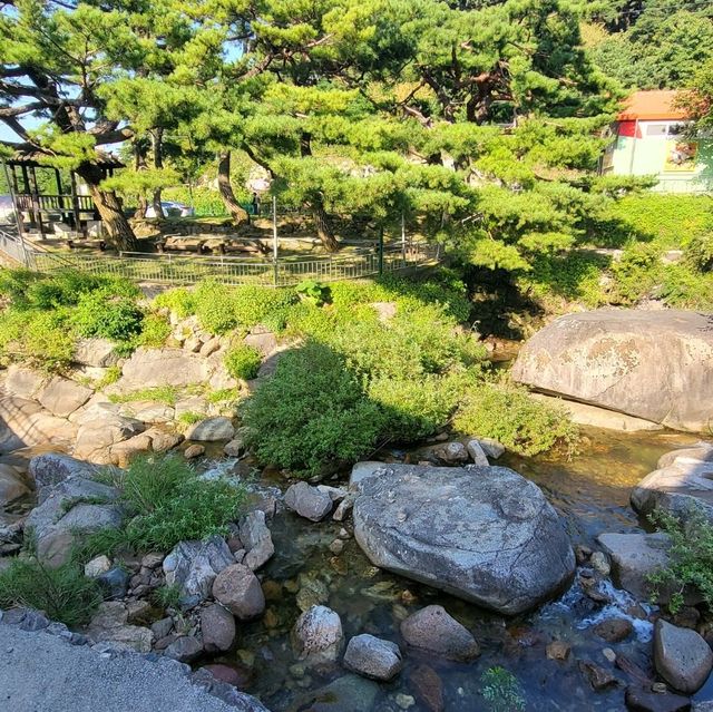 원주 계곡뷰카페 파인플로