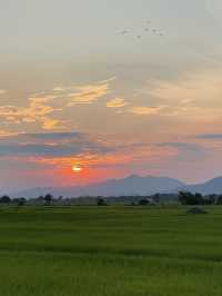 ชมพระอาทิตย์ตก ที่บ้านน้ำชำ 🌥️
