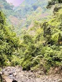 Hidden Paradise of Lush Green Wonders