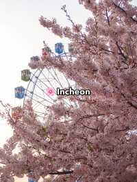 Top Spring Destinations in Korea🌸