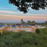 Midwinter • Khaoyai, Nakhon Ratchasima
