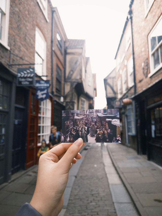 🌸 Springtime Magic in York