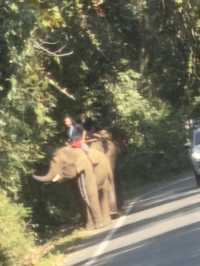 Chiang Mai 3 Days Travel Guide 