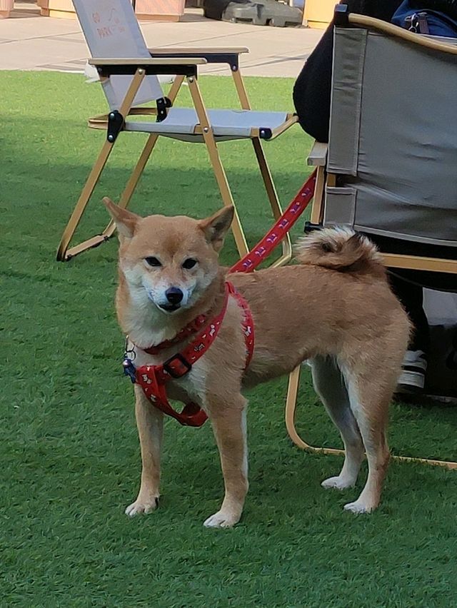 [香港正能量] 西沙 GO PARK 悠悠閒閒好去處