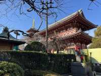 วัดเซ็นโซจิ - Sensō-ji