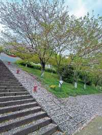 Trip to Quzhou 🌸 