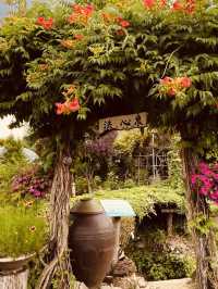 A Cultural Botanical Journey 