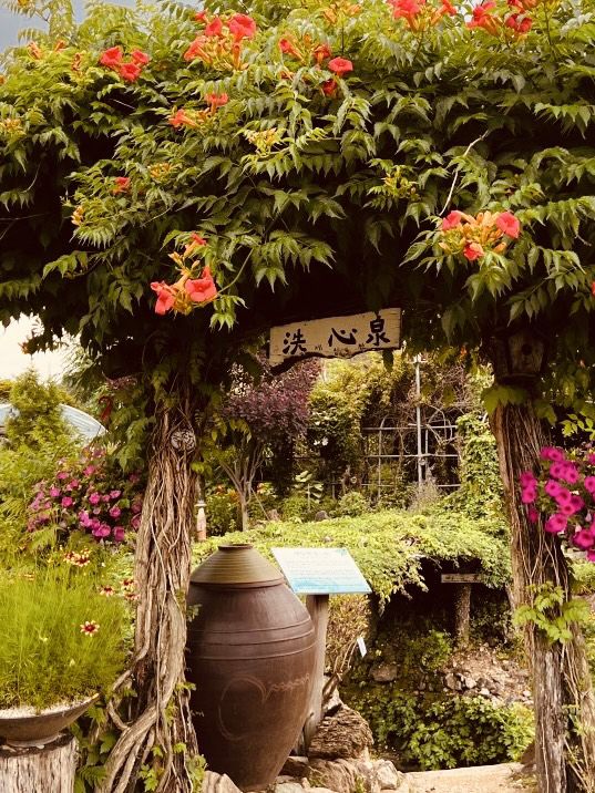 A Cultural Botanical Journey 