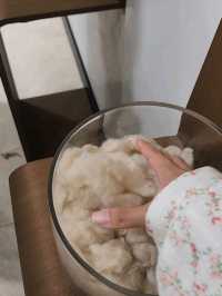 몽골 쇼핑 필수 캐시미어매장