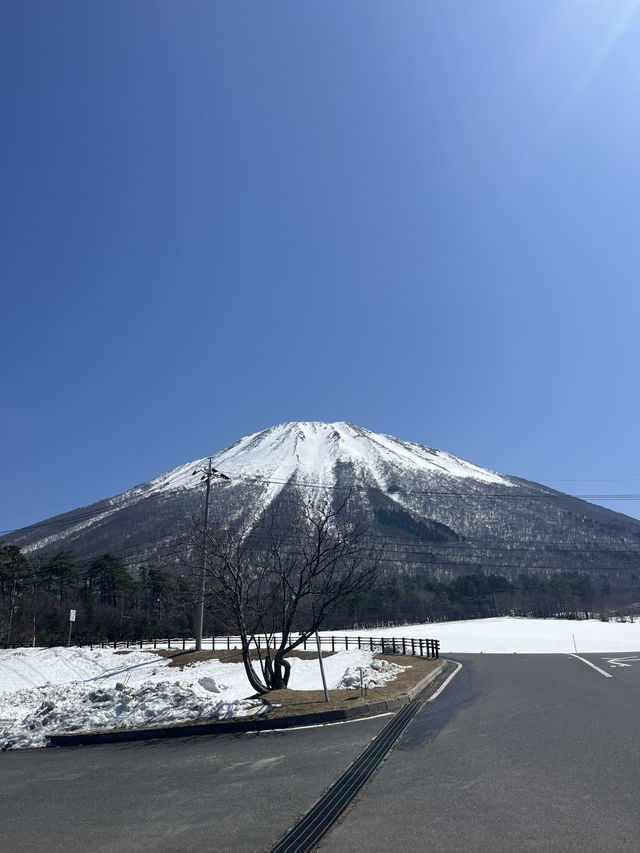 鳥取