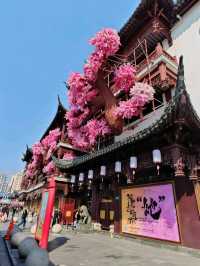 SHANGHAI with 3 teenage GIRLS