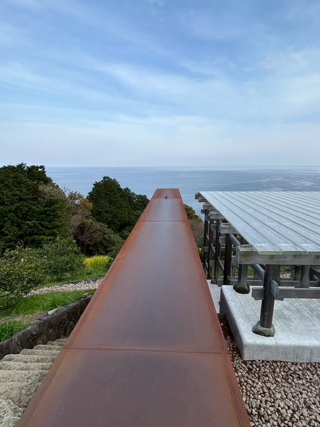 桜と菜の花　山の上の美術館