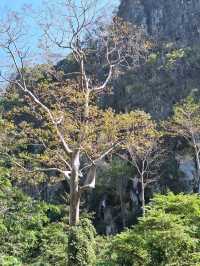 เยือนน้ำตกทีลอซู🏞สัมผัสความยิ่งใหญ่ของธรรมชาติ⛰️