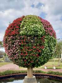 Blooming Beauty at Ocean Expo Park