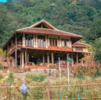 Mori Natural Farm โมริ เนเชอรัลฟาร์ม เชียงใหม่ 🏮🛖