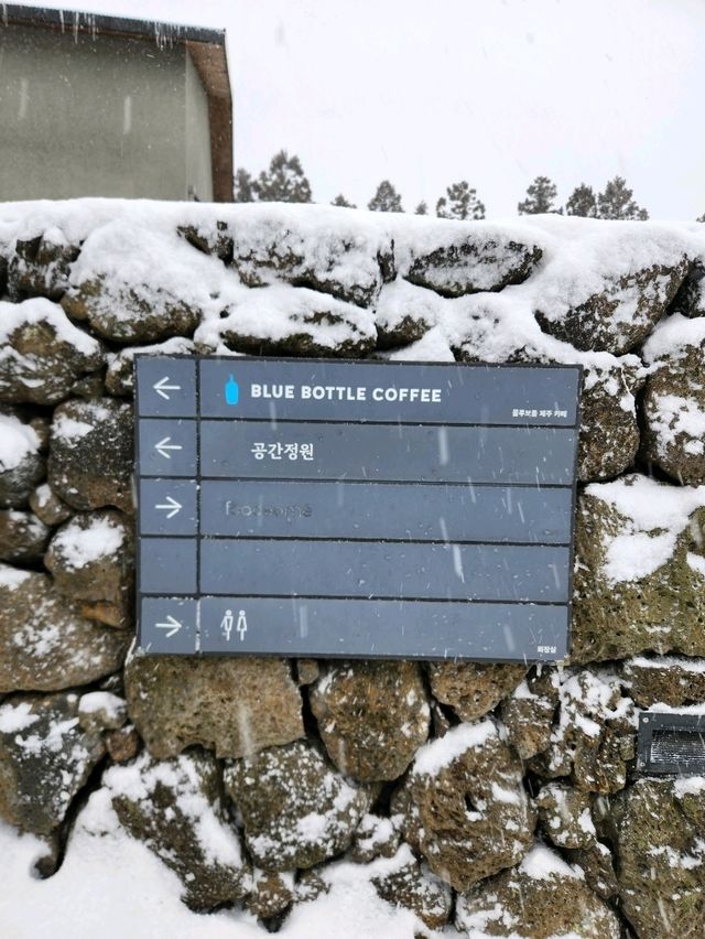 ❣️숲의 운치를 느끼며 데이트하기 좋았던 제주카페 "블루보틀"❣️