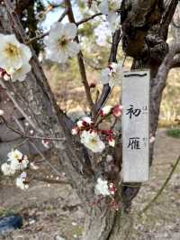 Early Spring at Expo’70 Commemorative Park