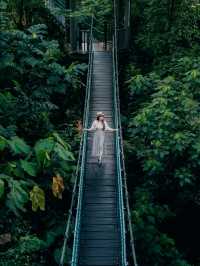 Urban Oasis: Exploring Nature at KL Eco Park
