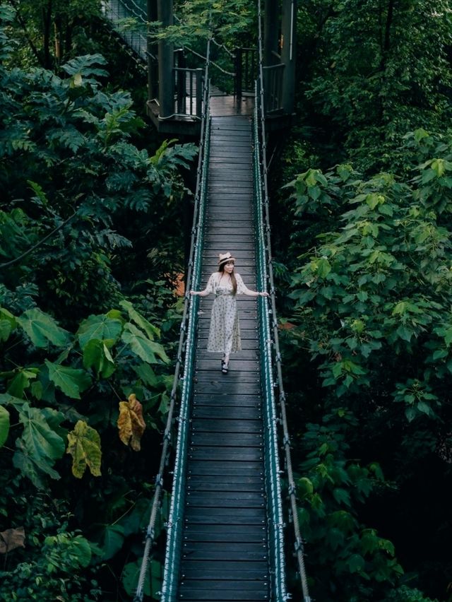 Urban Oasis: Exploring Nature at KL Eco Park