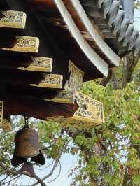 心がふわりとほどける時間。任和寺で出会うバイオリンと仏の響き