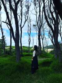 Wattamolla Wonders: A Hidden Slice of Paradise