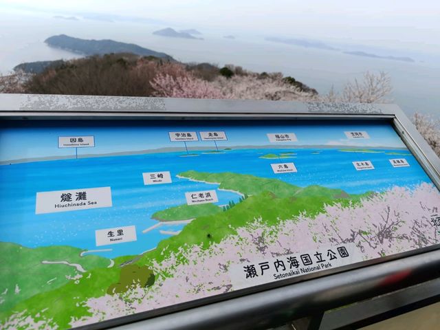 四國賞櫻之旅：紫雲出山頂展望台
