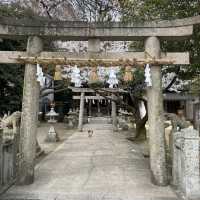 【山口県下関市長府🇯🇵忌宮神社】長府の中心に佇む歴史ある神社⛩️