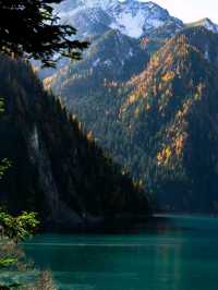 Crimson Dreams: Jiuzhaigou’s Autumn Maple Magic