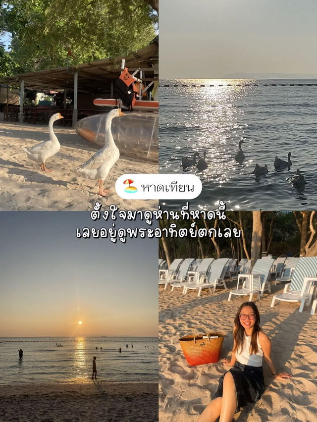🏖️ ทริปเกาะล้าน 2 คืน ไม่ต้องขับรถไป งบ 3xxx