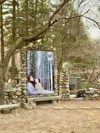 From Palaces to Alpacas: A Whirlwind Seoul Adventure