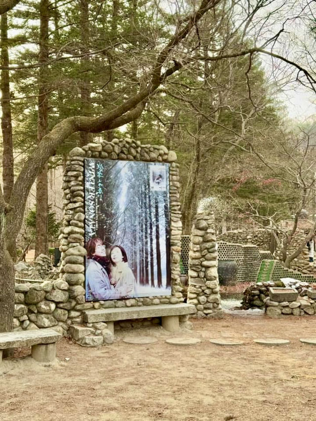 From Palaces to Alpacas: A Whirlwind Seoul Adventure