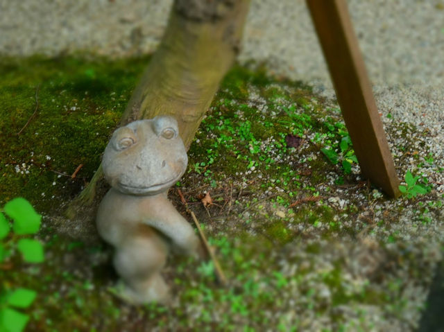 ユニークで癒される♪かえる寺参拝