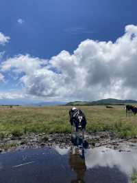 【美ヶ原高原】標高2000mの絶景⛰️