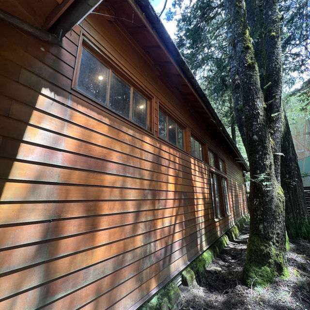 阿里山博物館區 Alishan Museum Area