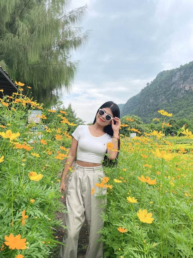 วอนแดซอง: เกาหลีทิพย์ มุมดอกไม้สีเหลืองละมุนใจ วอนแดซอง: เกาหลีทิพย์ มุมดอกไม้สีเหลืองละมุนใจ