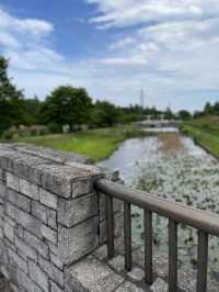 【埼玉】広大な敷地に、四季折々の花が咲き乱れる公園