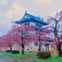 Hirosaki Park, Aomori