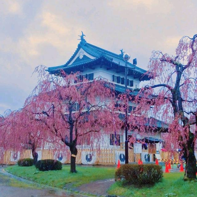 Hirosaki Park, Aomori