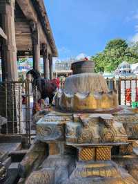 【チェンナイ/インド】一度は見ておきたい寺院🛕カバレーシュヴァラル寺院