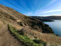 Exploring History and Coastline: Godley Head Park Adventure⛰️