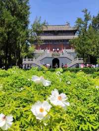 洛陽必遊的白馬寺