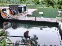 💧 Lake of the Pregnant Maiden (Tasik Dayang Bunting): Langkawi’s Magical Oasis