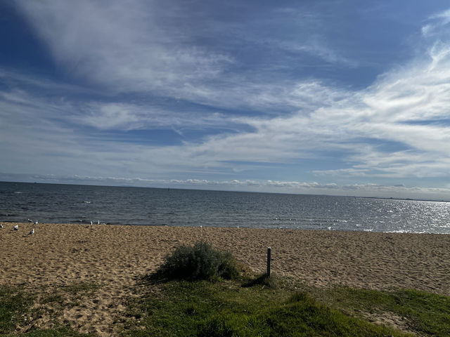 Discover the beauty of Melbourne Brighton Beach