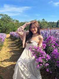 1 Day in •เขาใหญ่• ไปเติมรูปลงโซเชียลกัน🌻