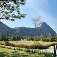 IKO Camp & Cafe