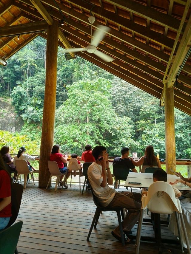 A Serene Forest Café with Pasta That Hits the Spot